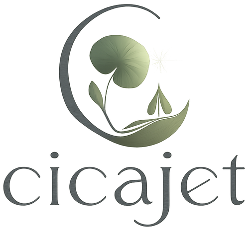 Cicajet